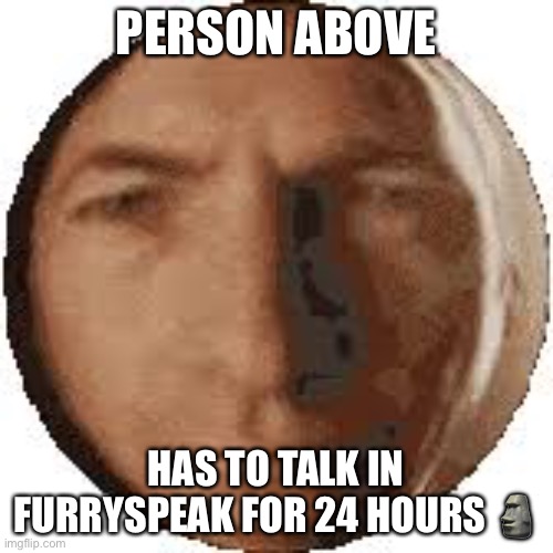 Cards do work | PERSON ABOVE; HAS TO TALK IN FURRYSPEAK FOR 24 HOURS 🗿 | image tagged in ball goodman | made w/ Imgflip meme maker