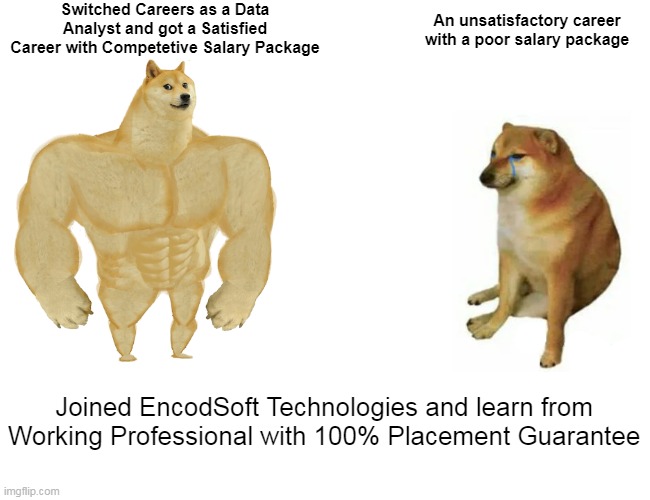 Career Comparison | Switched Careers as a Data Analyst and got a Satisfied Career with Competetive Salary Package; An unsatisfactory career with a poor salary package; Joined EncodSoft Technologies and learn from Working Professional with 100% Placement Guarantee | image tagged in memes,buff doge vs cheems | made w/ Imgflip meme maker