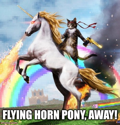 Welcome To The Internets Meme | FLYING HORN PONY, AWAY! | image tagged in memes,welcome to the internets | made w/ Imgflip meme maker