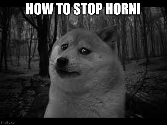 Very sad doge | HOW TO STOP HORNI | image tagged in very sad doge | made w/ Imgflip meme maker
