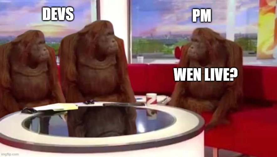 When go live | PM; DEVS; WEN LIVE? | image tagged in where monkey,project manager,development,when go live,when live | made w/ Imgflip meme maker