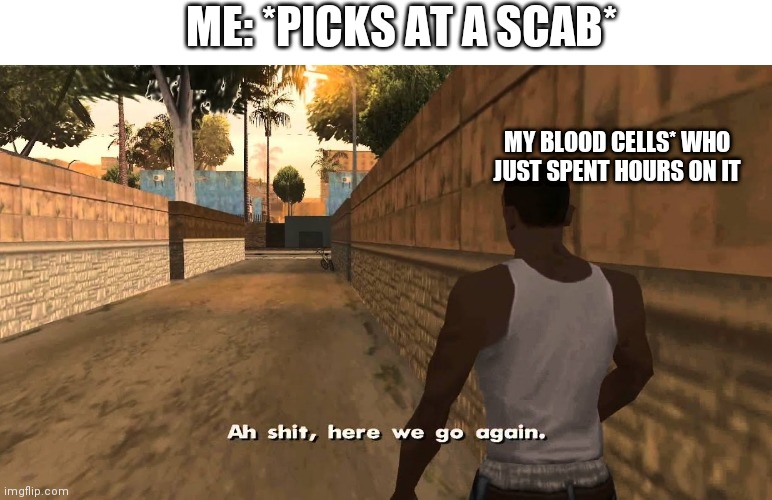 ah shit here we go again | ME: *PICKS AT A SCAB*; MY BLOOD CELLS* WHO JUST SPENT HOURS ON IT | image tagged in ah shit here we go again,memes,funny memes | made w/ Imgflip meme maker