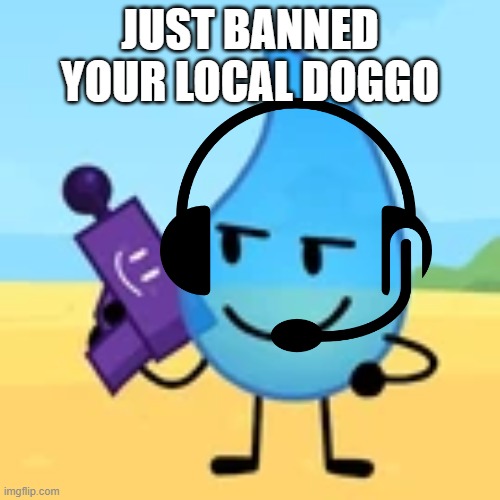 teardrop gaming | JUST BANNED YOUR LOCAL DOGGO | image tagged in teardrop gaming | made w/ Imgflip meme maker