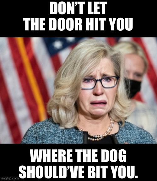 Liz Cheney | DON’T LET THE DOOR HIT YOU; WHERE THE DOG SHOULD’VE BIT YOU. | image tagged in liz cheney | made w/ Imgflip meme maker
