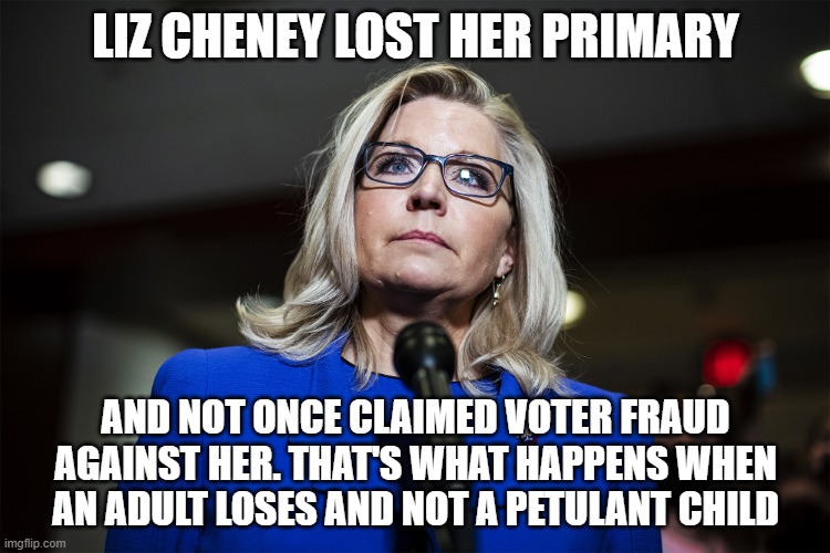 Liz Cheney | LIZ CHENEY LOST HER PRIMARY; AND NOT ONCE CLAIMED VOTER FRAUD AGAINST HER. THAT'S WHAT HAPPENS WHEN AN ADULT LOSES AND NOT A PETULANT CHILD | image tagged in liz cheney | made w/ Imgflip meme maker