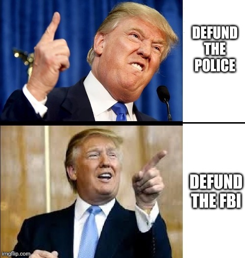 Trump and logic don't mix | DEFUND THE POLICE; DEFUND THE FBI | image tagged in donald trump drake | made w/ Imgflip meme maker