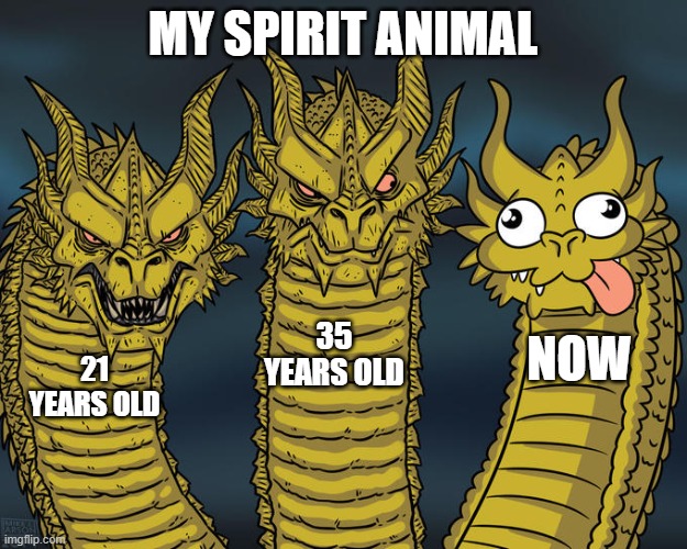 Three-headed Dragon | MY SPIRIT ANIMAL; 35 YEARS OLD; NOW; 21 YEARS OLD | image tagged in three-headed dragon | made w/ Imgflip meme maker