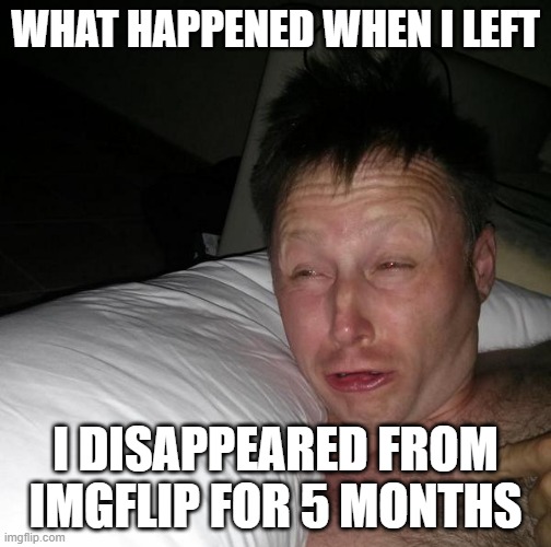 i don't think anyone noticed my absence |  WHAT HAPPENED WHEN I LEFT; I DISAPPEARED FROM IMGFLIP FOR 5 MONTHS | image tagged in limmy waking up | made w/ Imgflip meme maker