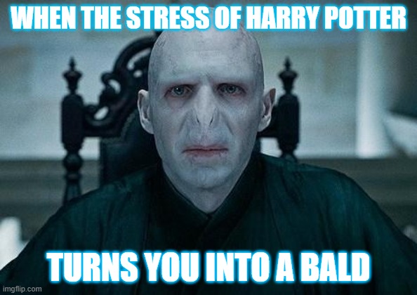 Lord Voldemort |  WHEN THE STRESS OF HARRY POTTER; TURNS YOU INTO A BALD | image tagged in lord voldemort | made w/ Imgflip meme maker
