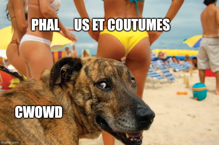 dog beach | PHAL; US ET COUTUMES; CWOWD | image tagged in dog beach | made w/ Imgflip meme maker