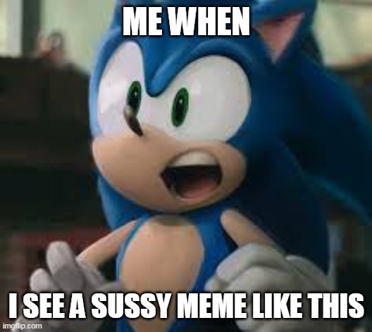 ME WHEN I SEE A SUSSY MEME LIKE THIS | image tagged in sonic | made w/ Imgflip meme maker