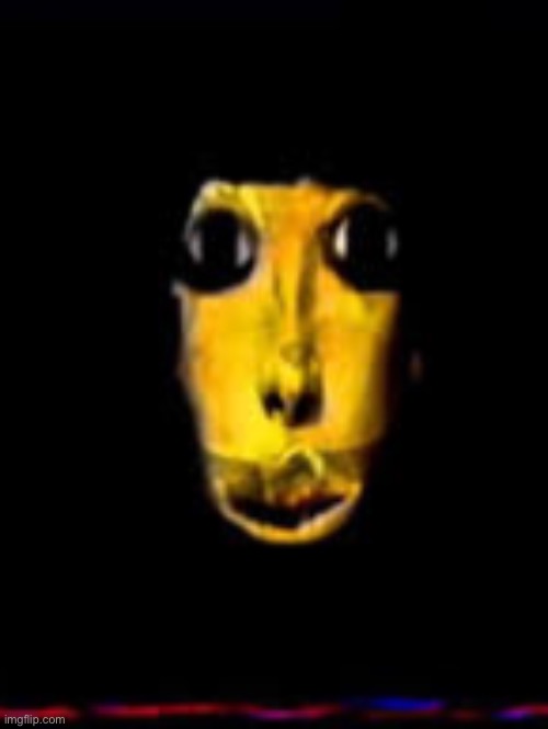 image tagged in susan woodings says | made w/ Imgflip meme maker