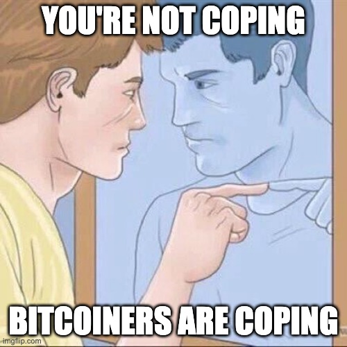 You're Not Coping | YOU'RE NOT COPING; BITCOINERS ARE COPING | image tagged in pointing mirror guy | made w/ Imgflip meme maker