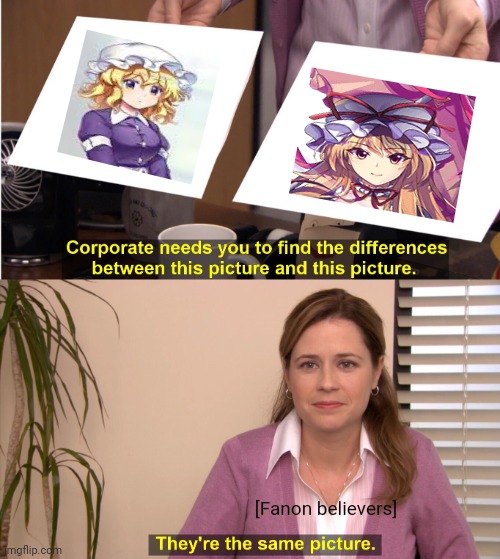 They're The Same Picture Meme | [Fanon believers] | image tagged in memes,touhou,salt | made w/ Imgflip meme maker