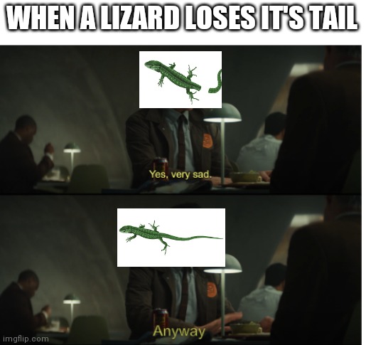 WHEN A LIZARD LOSES IT'S TAIL | image tagged in memes,funny,funny memes | made w/ Imgflip meme maker