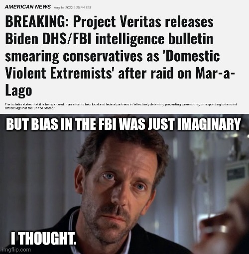 Of course it's not. | BUT BIAS IN THE FBI WAS JUST IMAGINARY; I THOUGHT. | image tagged in sarcastic house | made w/ Imgflip meme maker