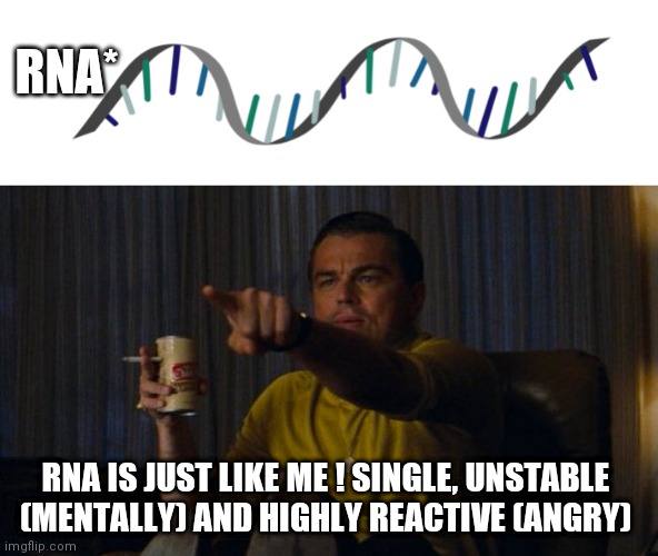 pointing rick dalton | RNA*; RNA IS JUST LIKE ME ! SINGLE, UNSTABLE (MENTALLY) AND HIGHLY REACTIVE (ANGRY) | image tagged in pointing rick dalton,memes,funny memes | made w/ Imgflip meme maker