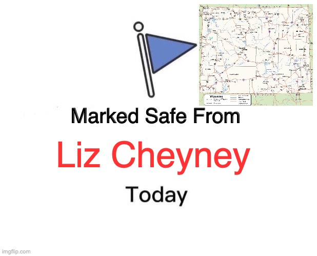 Marked Safe From Meme | Liz Cheyney | image tagged in memes,marked safe from | made w/ Imgflip meme maker