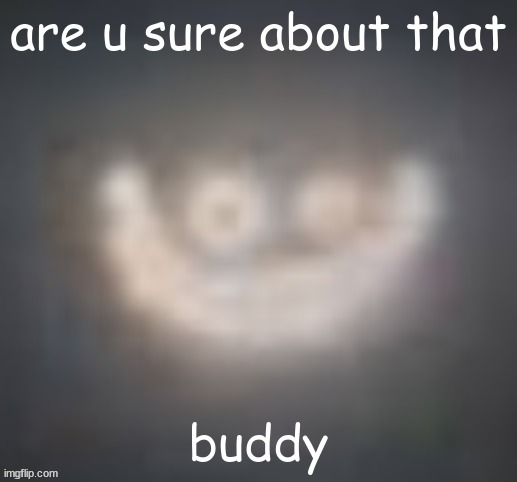 smiler on crack | are u sure about that buddy | image tagged in smiler on crack | made w/ Imgflip meme maker