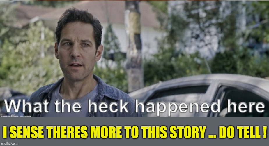 antman what the heck happened here | I SENSE THERES MORE TO THIS STORY ... DO TELL ! | image tagged in antman what the heck happened here | made w/ Imgflip meme maker