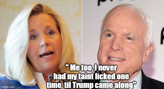 Darlings of the MSM | " Me too, I never had my taint licked one time, til Trump came along" | image tagged in memes | made w/ Imgflip meme maker
