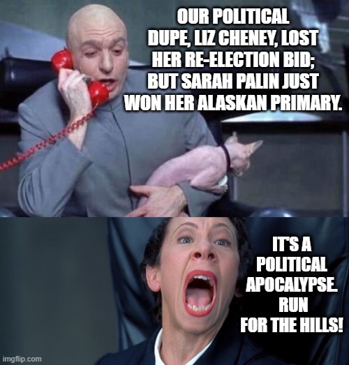 Pandemonium in the leftist political potty. | OUR POLITICAL DUPE, LIZ CHENEY, LOST HER RE-ELECTION BID; BUT SARAH PALIN JUST WON HER ALASKAN PRIMARY. IT'S A POLITICAL APOCALYPSE.  RUN FOR THE HILLS! | image tagged in dr evil and frau | made w/ Imgflip meme maker