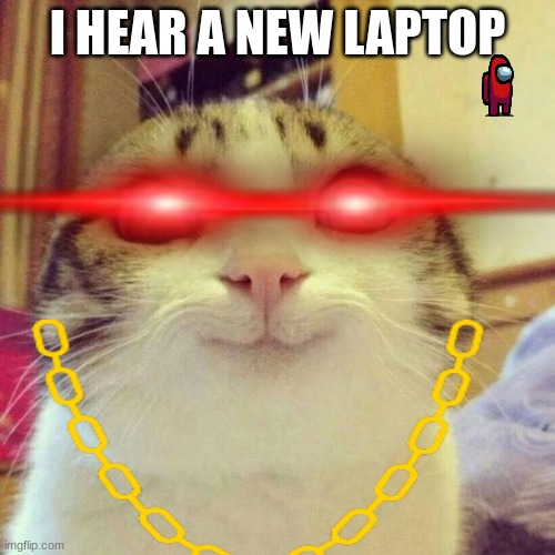 I HEAR A NEW LAPTOP | image tagged in cats,laptop | made w/ Imgflip meme maker