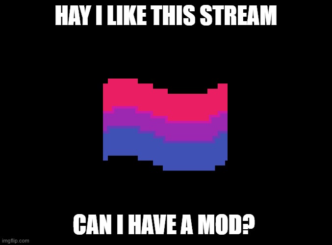 can i have mod plz | HAY I LIKE THIS STREAM; CAN I HAVE A MOD? | image tagged in blank black | made w/ Imgflip meme maker
