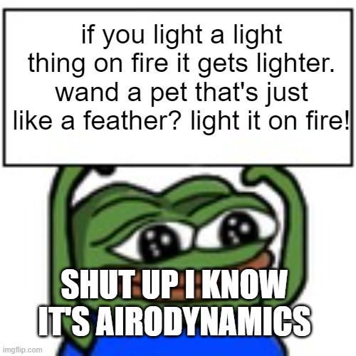 Pepe holding sign | if you light a light thing on fire it gets lighter. wand a pet that's just like a feather? light it on fire! SHUT UP I KNOW IT'S AIRODYNAMICS | image tagged in pepe holding sign | made w/ Imgflip meme maker
