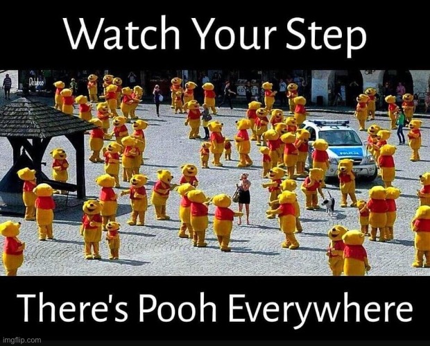 Poo | image tagged in bad pun | made w/ Imgflip meme maker