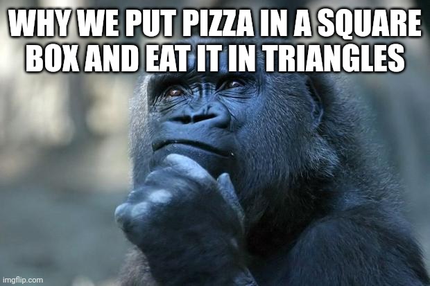 Deep Thoughts | WHY WE PUT PIZZA IN A SQUARE BOX AND EAT IT IN TRIANGLES | image tagged in deep thoughts,shower thoughts | made w/ Imgflip meme maker