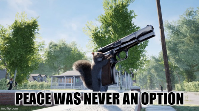 Peace was never an option | PEACE WAS NEVER AN OPTION | image tagged in video games,memes,squirrel,guns | made w/ Imgflip meme maker