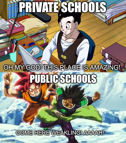 Schools be like | PRIVATE SCHOOLS; OH MY GOD! THIS PLACE IS AMAZING! PUBLIC SCHOOLS; COME HERE WEAKLING! AAAAH! | image tagged in memes,anime,school,dragon ball | made w/ Imgflip meme maker