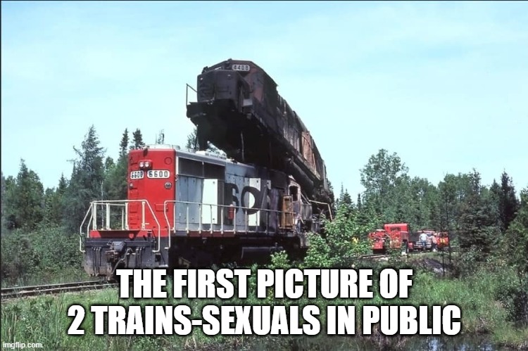 Don't look at this meme if you are trainsphobic. | THE FIRST PICTURE OF 2 TRAINS-SEXUALS IN PUBLIC | image tagged in how baby locomotives are made | made w/ Imgflip meme maker