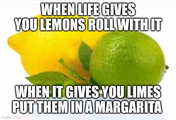 Lemon lime |  WHEN LIFE GIVES YOU LEMONS ROLL WITH IT; WHEN IT GIVES YOU LIMES PUT THEM IN A MARGARITA | image tagged in funny memes | made w/ Imgflip meme maker