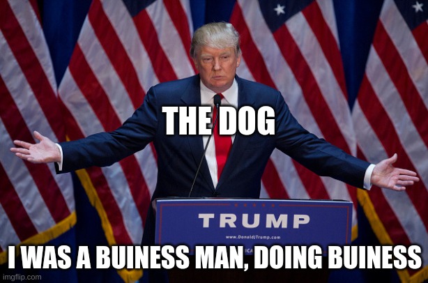 Donald Trump | THE DOG I WAS A BUINESS MAN, DOING BUINESS | image tagged in donald trump | made w/ Imgflip meme maker