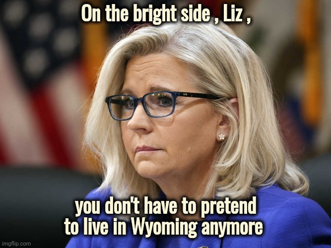 Dedicating her life to destroying Donald Trump |  On the bright side , Liz , you don't have to pretend to live in Wyoming anymore | image tagged in liz cheney,trump derangement syndrome,epic fail,single minded,politicians suck | made w/ Imgflip meme maker