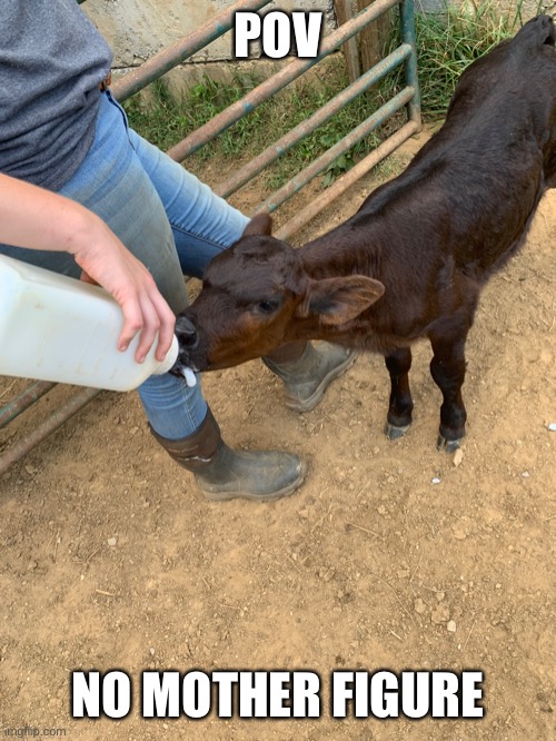 POV; NO MOTHER FIGURE | made w/ Imgflip meme maker