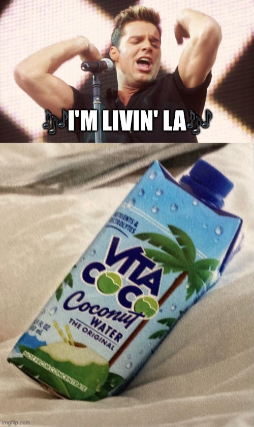 🎶I'M LIVIN' LA🎶 | image tagged in ricky martin,spoof,satire,meme parody | made w/ Imgflip meme maker