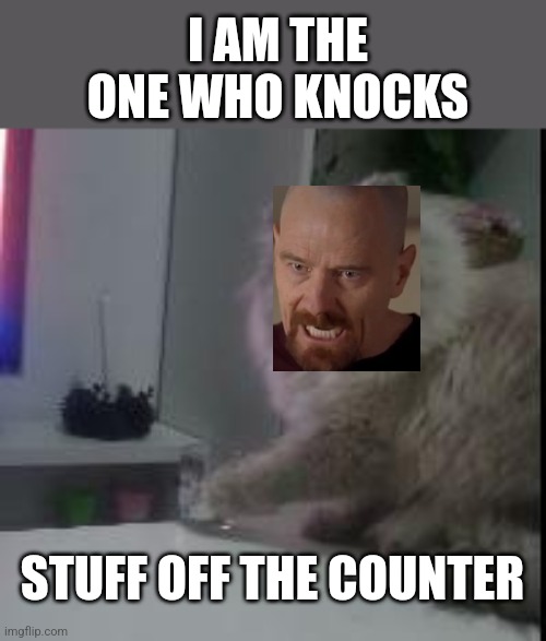 I AM THE ONE WHO KNOCKS; STUFF OFF THE COUNTER | image tagged in memes | made w/ Imgflip meme maker