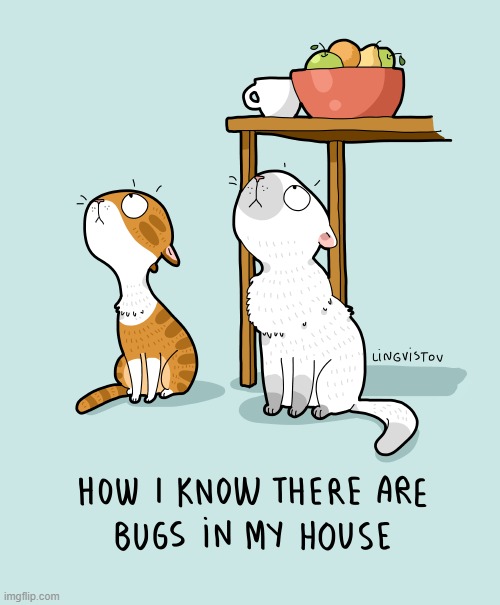 A Cat's Way Of Thinking | image tagged in memes,comics,cats,bugs,inside,house | made w/ Imgflip meme maker