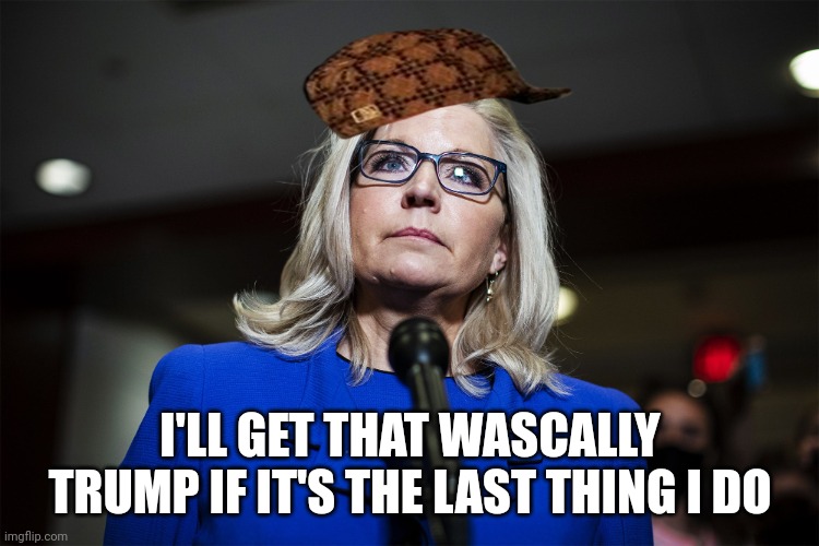 Liz Cheney | I'LL GET THAT WASCALLY TRUMP IF IT'S THE LAST THING I DO | image tagged in liz cheney | made w/ Imgflip meme maker