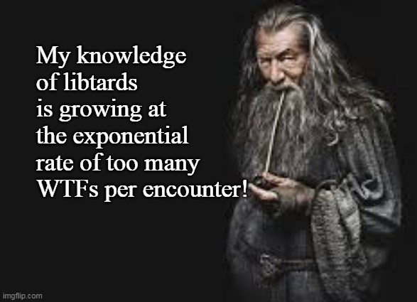 Gendalf | My knowledge of libtards is growing at the exponential rate of too many WTFs per encounter! | image tagged in gendalf | made w/ Imgflip meme maker