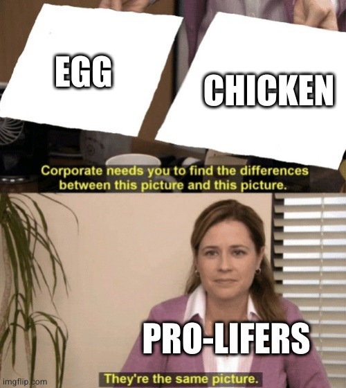 Corporate needs you to find the differences | EGG; CHICKEN; PRO-LIFERS | image tagged in corporate needs you to find the differences | made w/ Imgflip meme maker