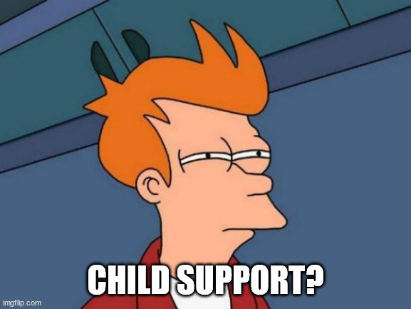 Futurama Fry Meme | CHILD SUPPORT? | image tagged in memes,futurama fry | made w/ Imgflip meme maker