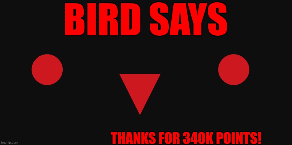 Bird says template | BIRD SAYS; THANKS FOR 340K POINTS! | image tagged in bird says template | made w/ Imgflip meme maker