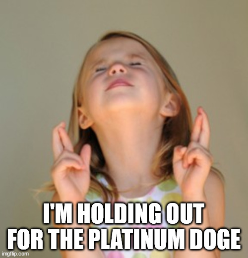 fingers crossed | I'M HOLDING OUT FOR THE PLATINUM DOGE | image tagged in fingers crossed | made w/ Imgflip meme maker