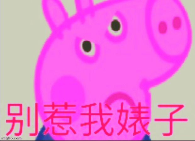 Chinese George Pig | image tagged in chinese george pig | made w/ Imgflip meme maker