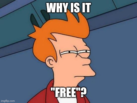 Futurama Fry Meme | WHY IS IT "FREE"? | image tagged in memes,futurama fry | made w/ Imgflip meme maker