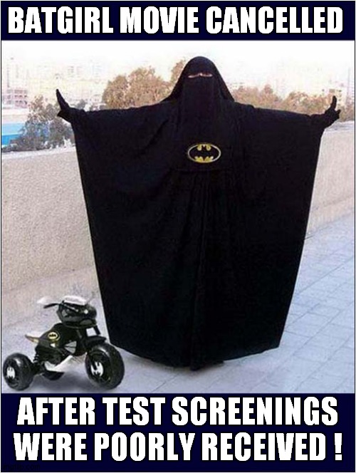 I Wonder Why ? | BATGIRL MOVIE CANCELLED; AFTER TEST SCREENINGS WERE POORLY RECEIVED ! | image tagged in batgirl,movie,cancelled,dark humour | made w/ Imgflip meme maker